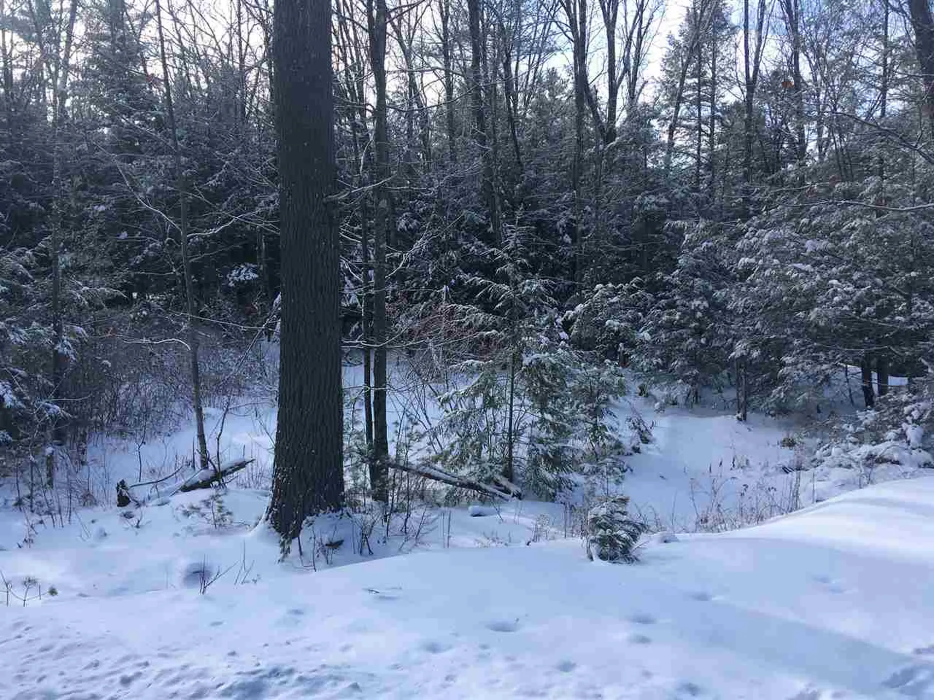 585 Grafton Turnpike Road Canaan NH 03741