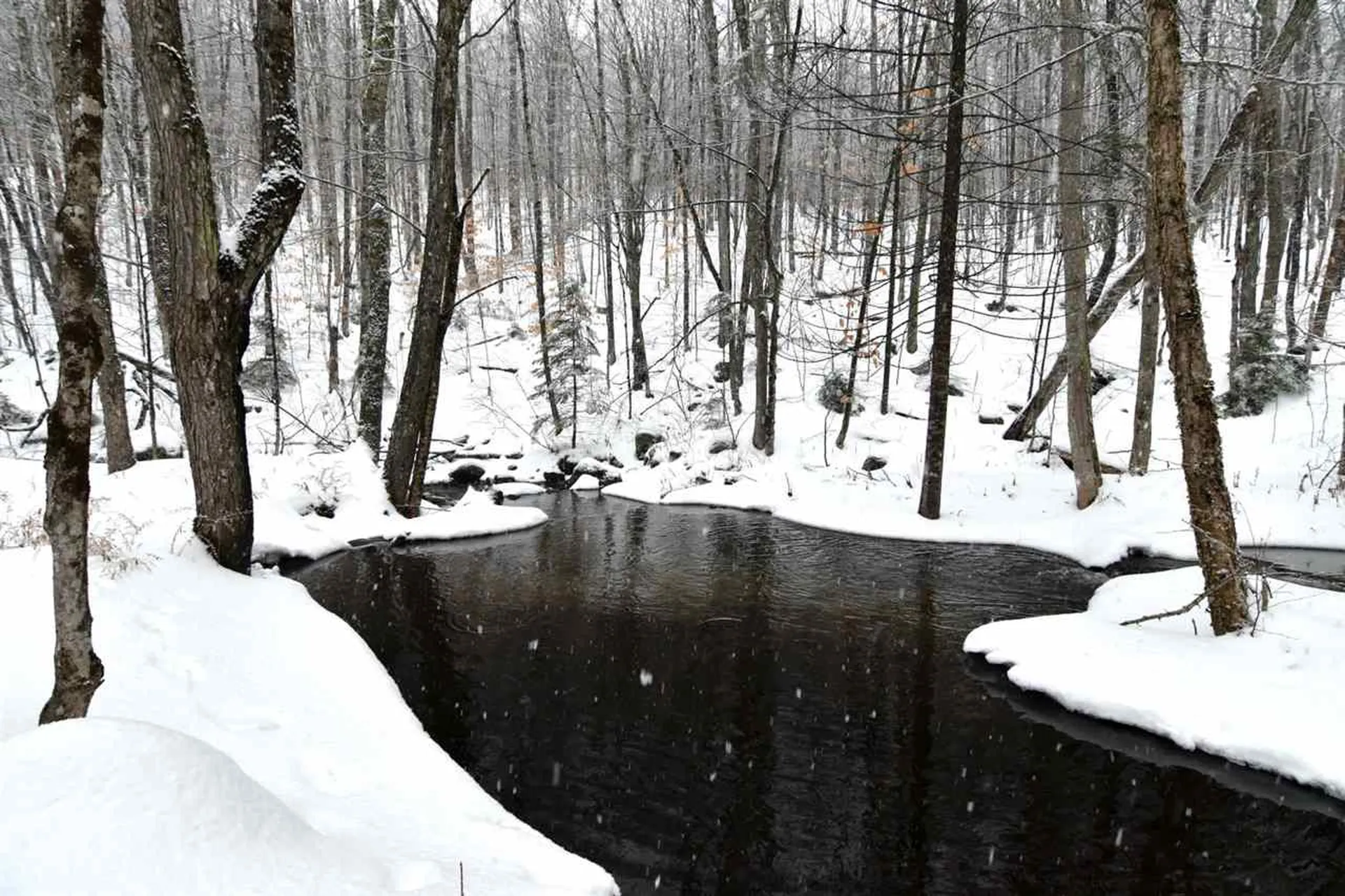 235 Powder Spring Road Topsham VT 05076