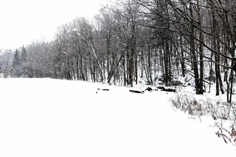 235 Powder Spring Road Topsham VT 05076