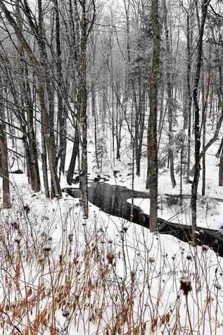 235 Powder Spring Road Topsham VT 05076