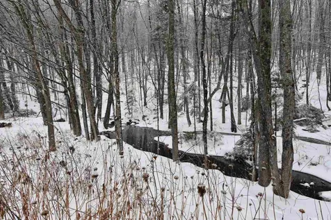 235 Powder Spring Road Topsham VT 05076