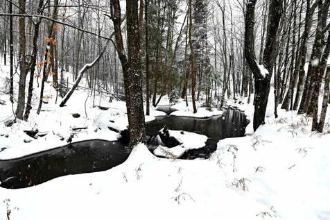235 Powder Spring Road Topsham VT 05076