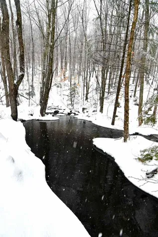 235 Powder Spring Road Topsham VT 05076