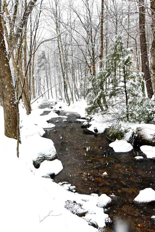 235 Powder Spring Road Topsham VT 05076