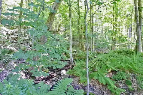 435 South Mendon Road Mendon VT 05701