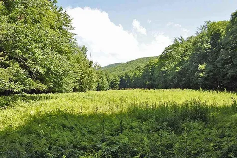 435 South Mendon Road Mendon VT 05701