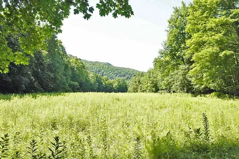 435 South Mendon Road Mendon VT 05701