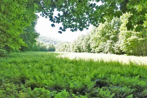 435 South Mendon Road Mendon VT 05701