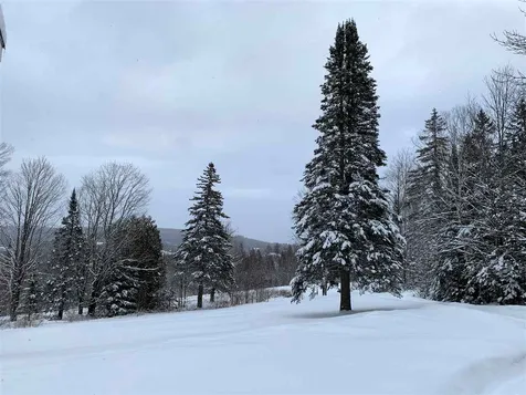 632 West Shore Road Cabot VT 05647
