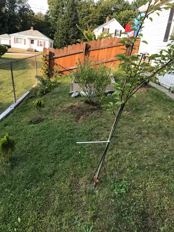 29 Cedar Street Laconia NH 03246