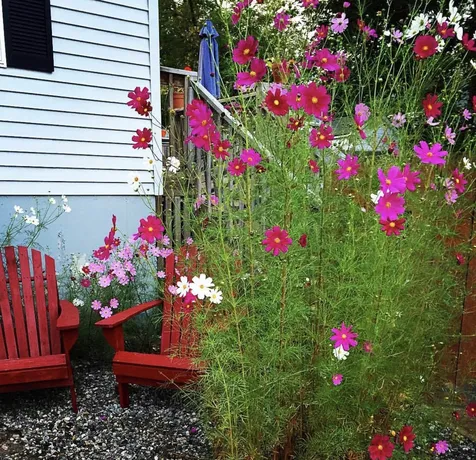 29 Cedar Street Laconia NH 03246