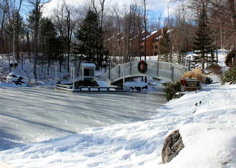 A1 Nordic Village Lane Bartlett NH 03812