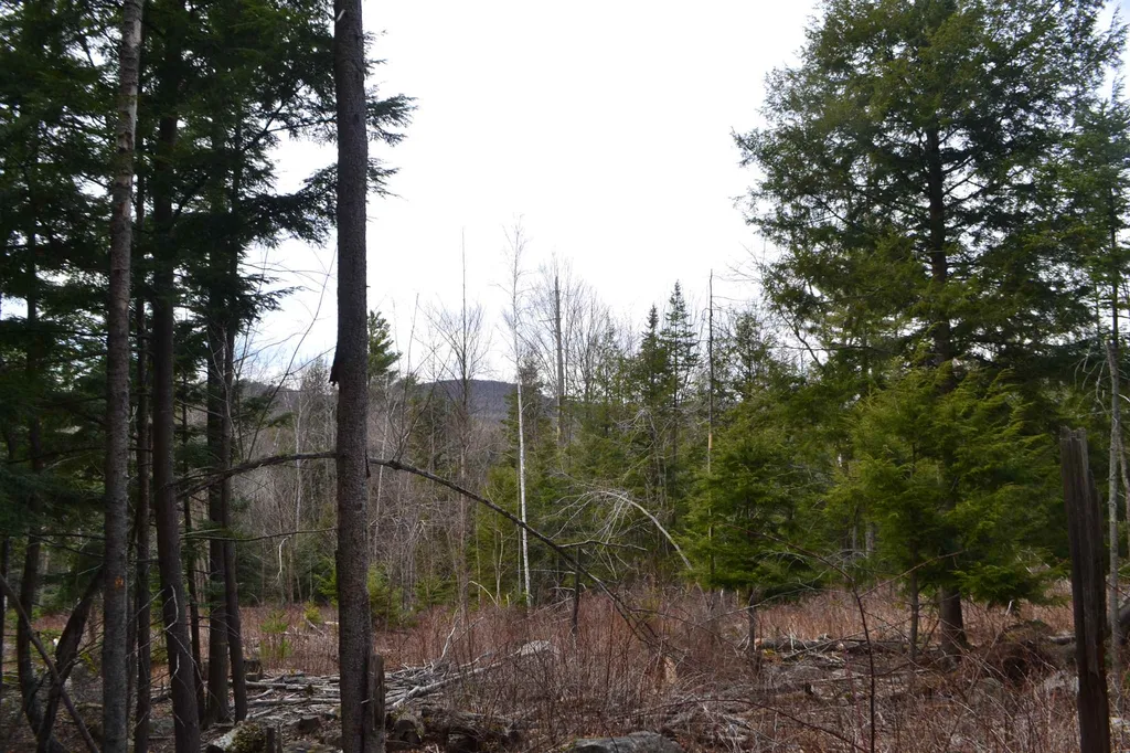 428 Maple Street Newport NH 03773