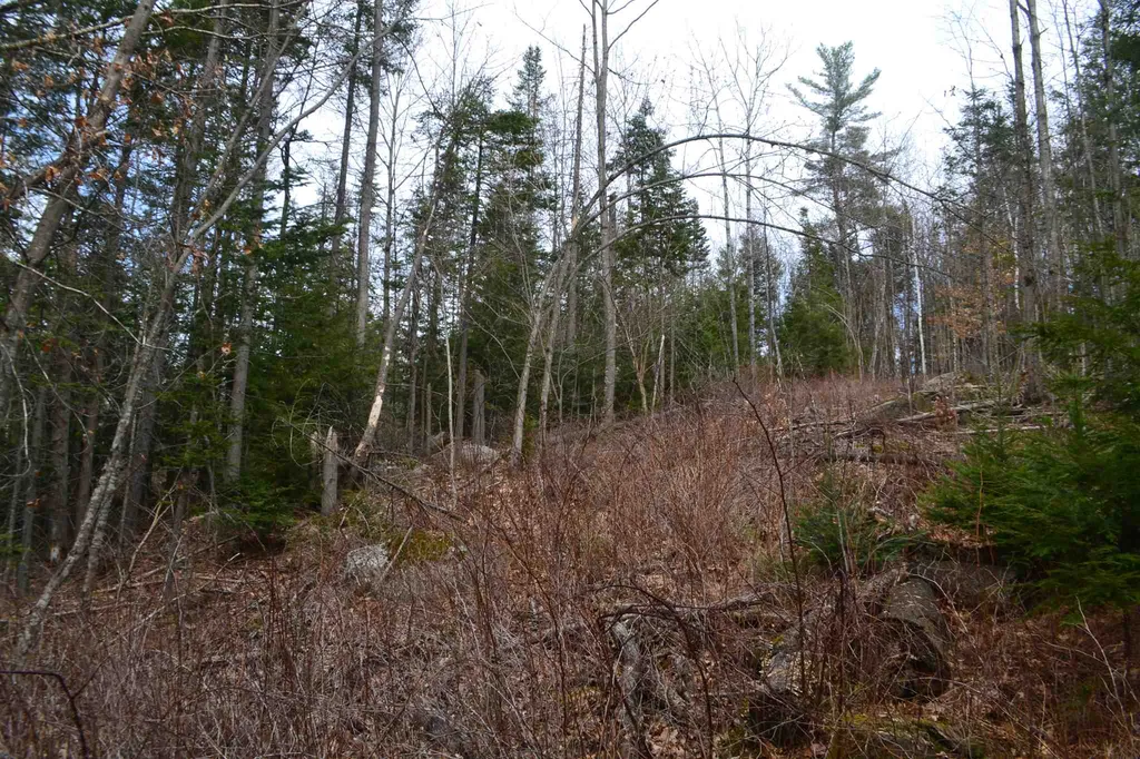 428 Maple Street Newport NH 03773