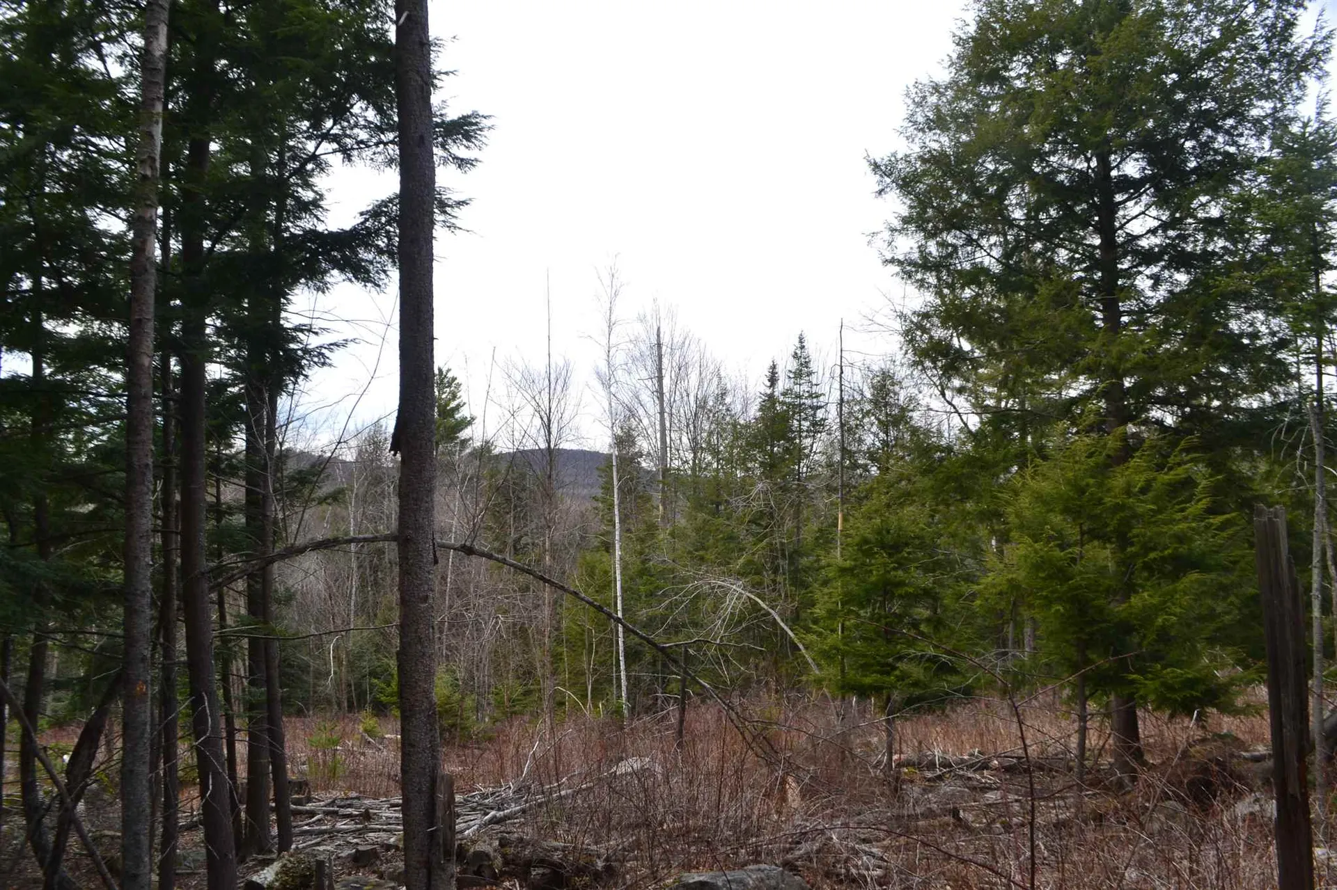 428 Maple Street Newport NH 03773