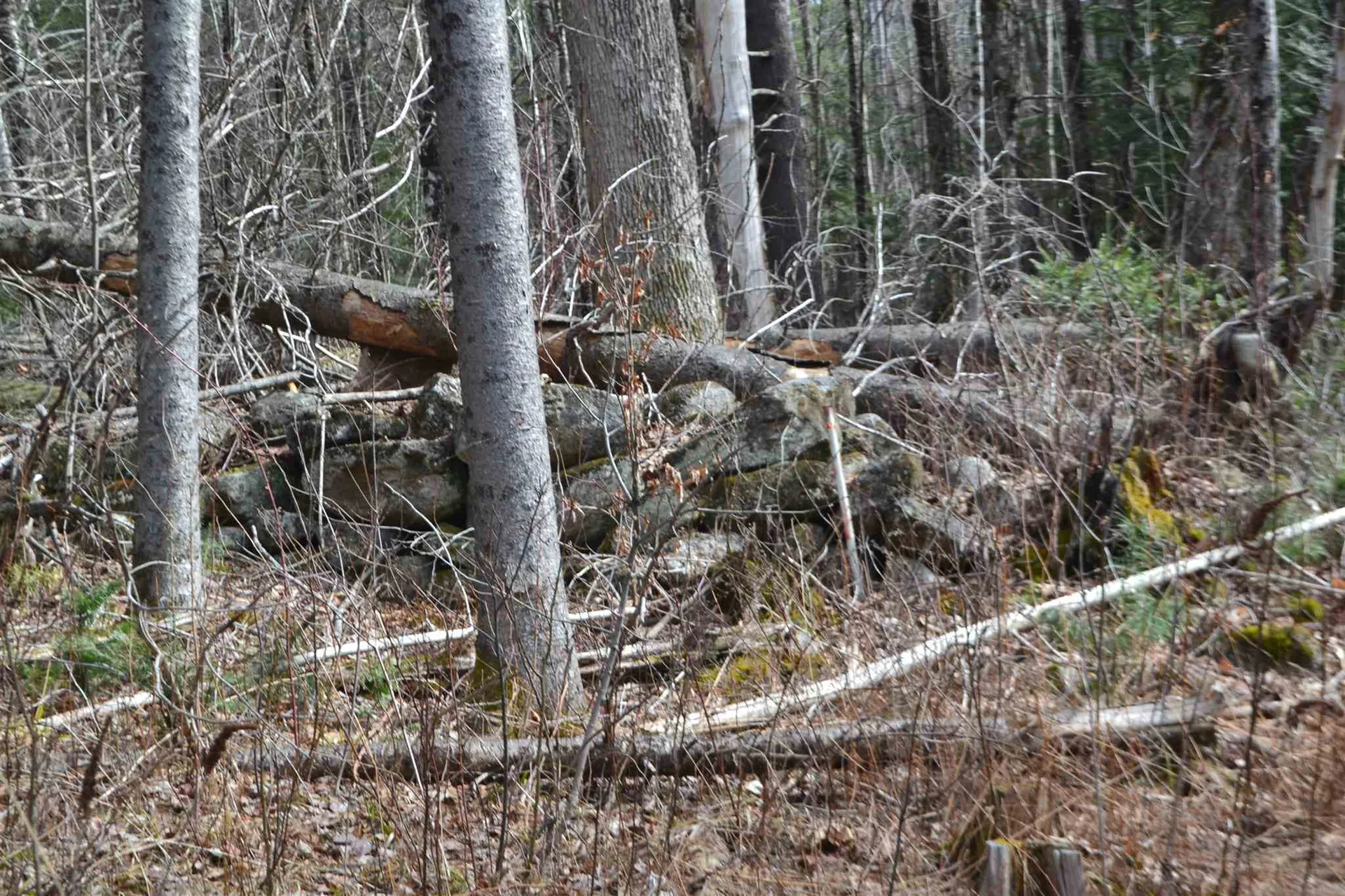 428 Maple Street Newport NH 03773