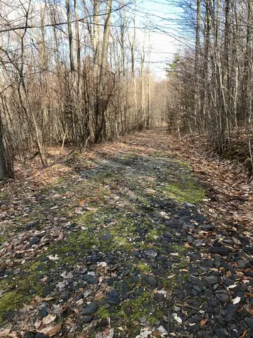 Tbd Lakeview Drive Monkton VT 05469