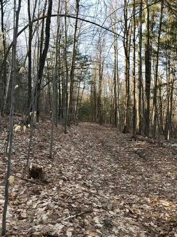 Tbd Lakeview Drive Monkton VT 05469