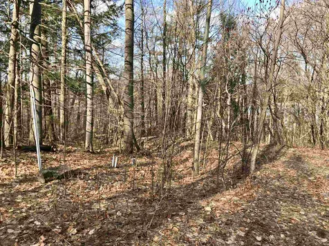 Tbd Lakeview Drive Monkton VT 05469