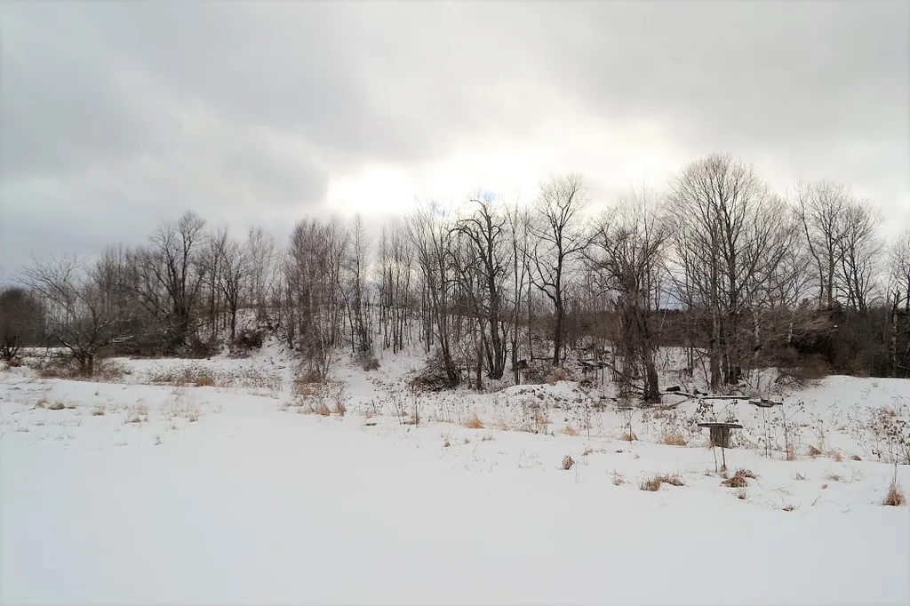 15 Sherman Drive Barre Town VT 05641