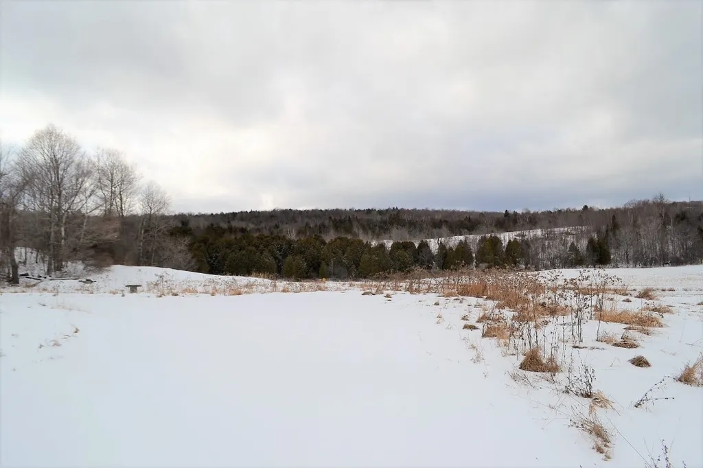 15 Sherman Drive Barre Town VT 05641