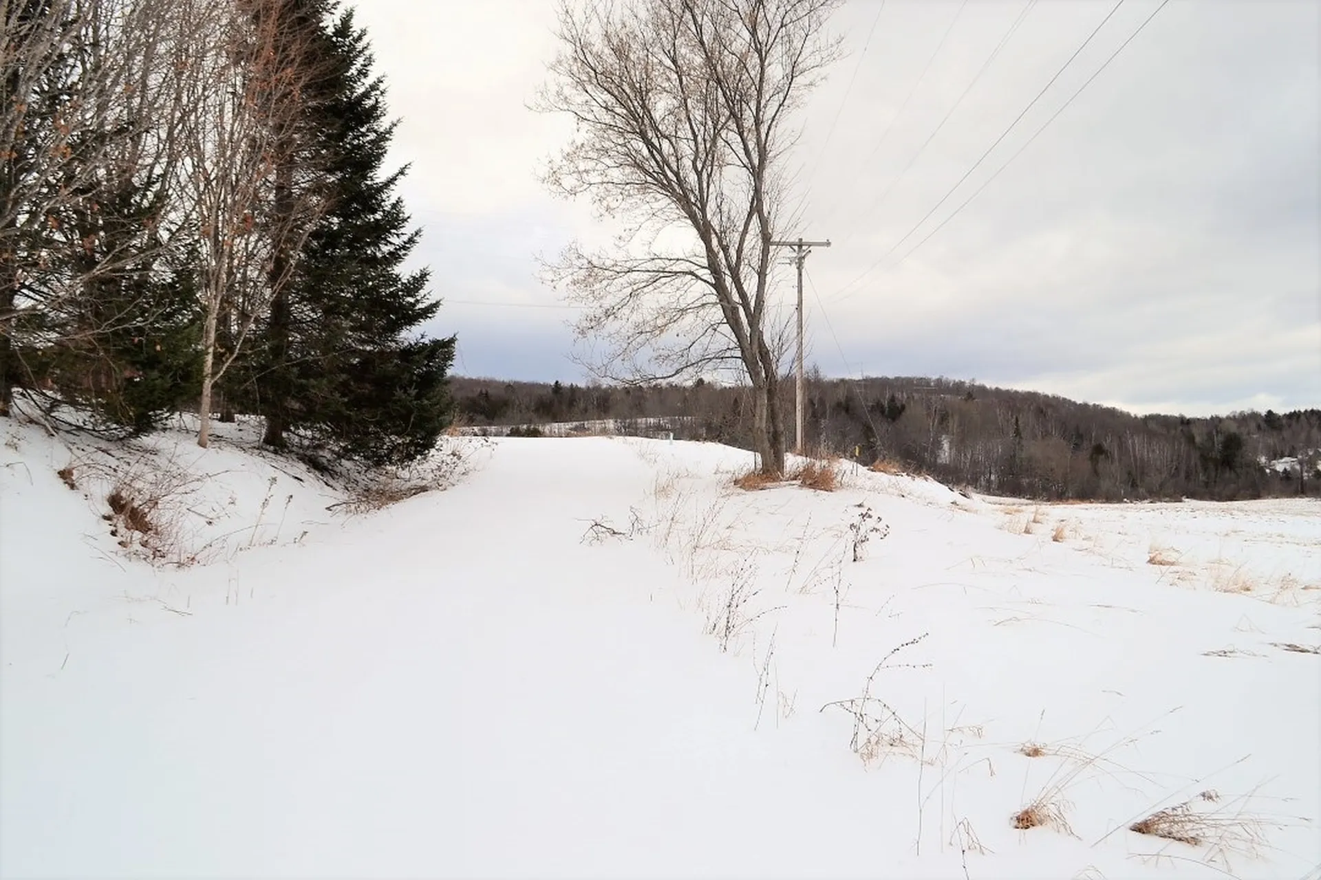 15 Sherman Drive Barre Town VT 05641
