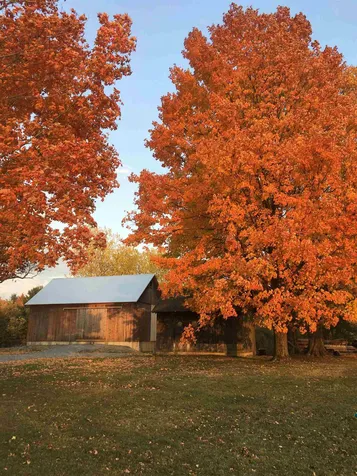 139 Woods Hollow Road Westford VT 05452