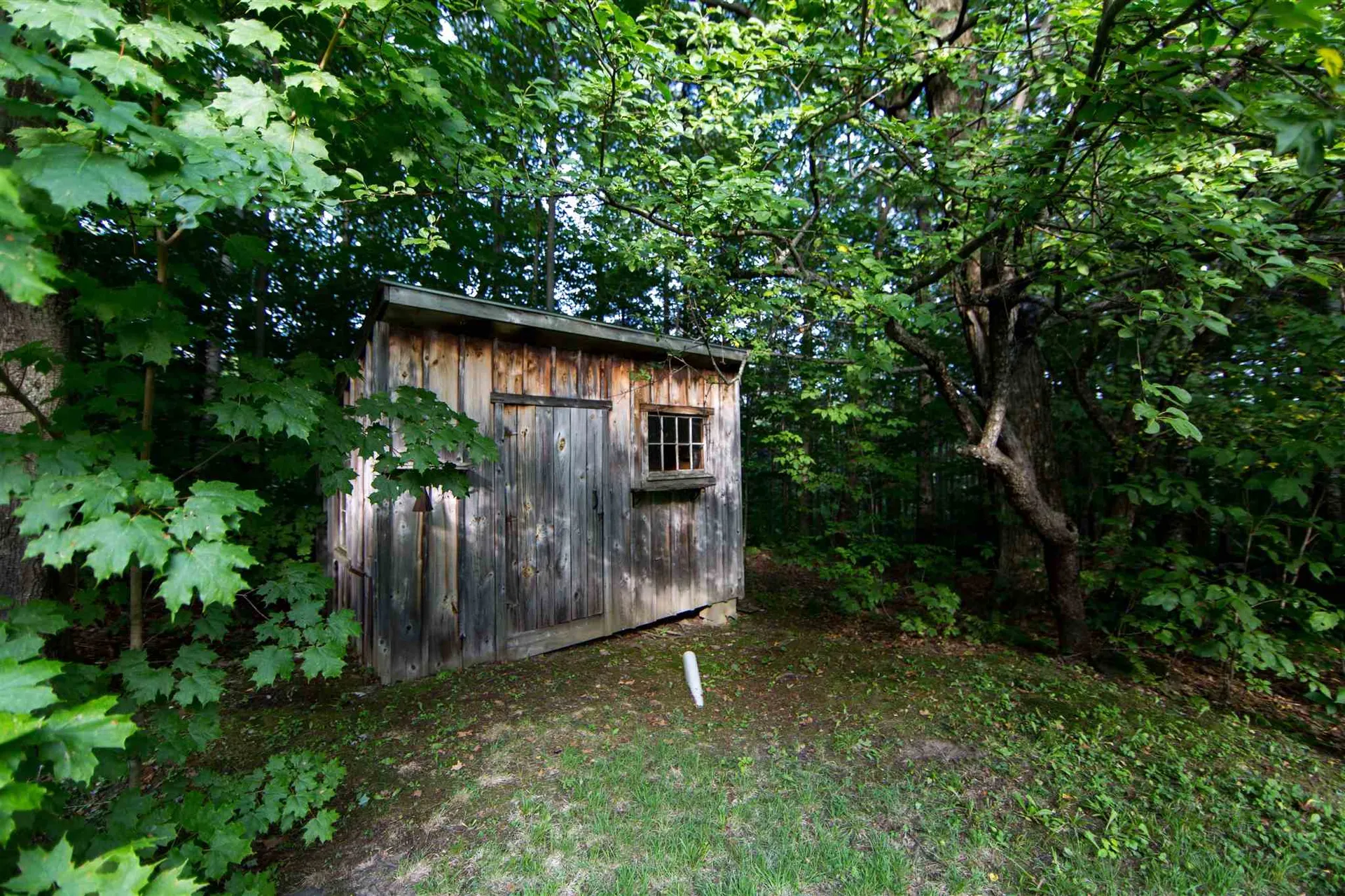 55 Carlyle Road Warren VT 05674