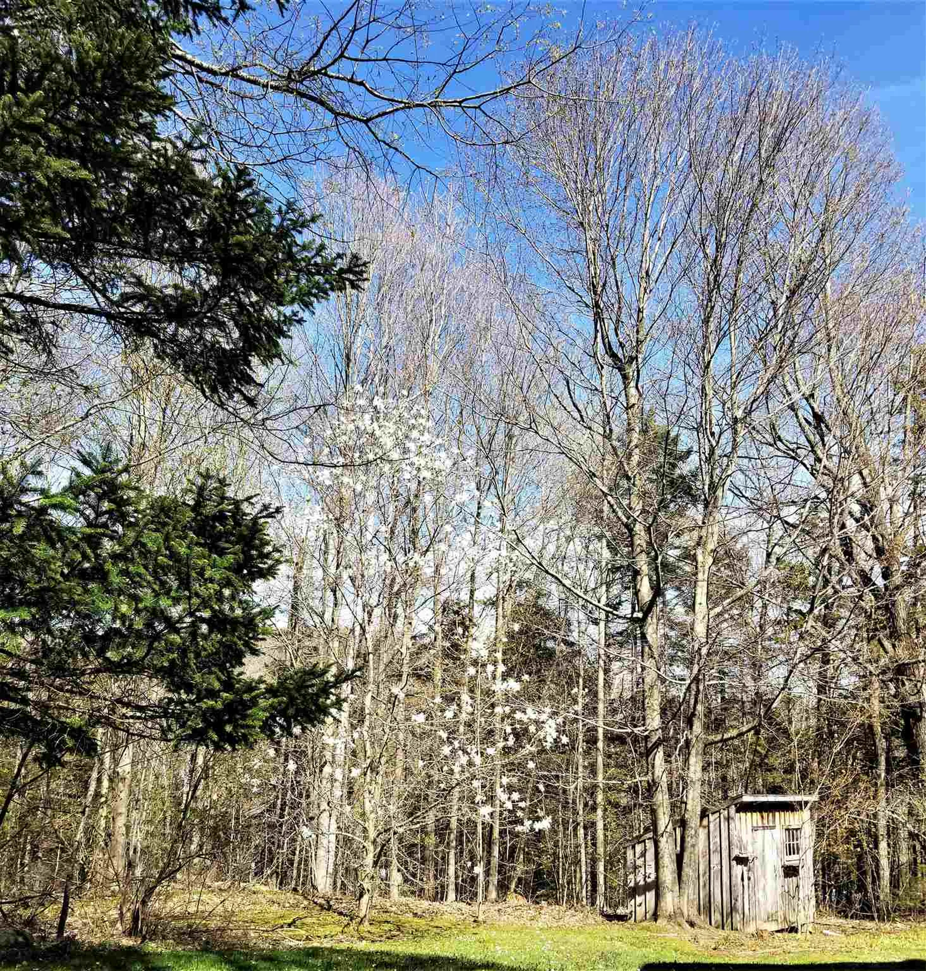 55 Carlyle Road Warren VT 05674