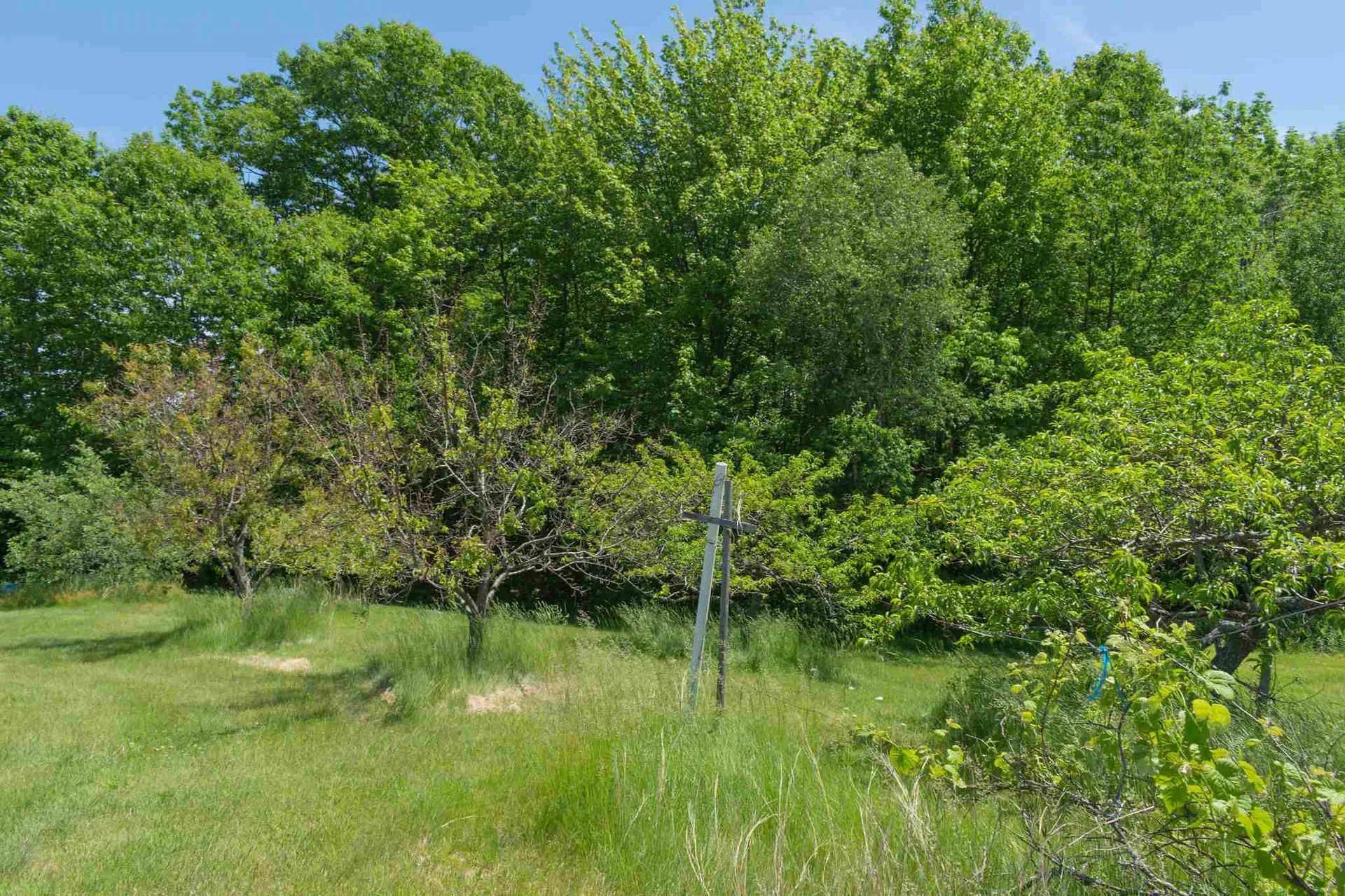 232 Ridge Road New Durham NH 03855