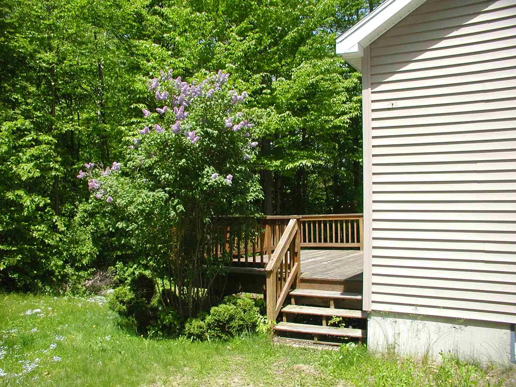 319 Fox Hill Road Stoddard NH 03464