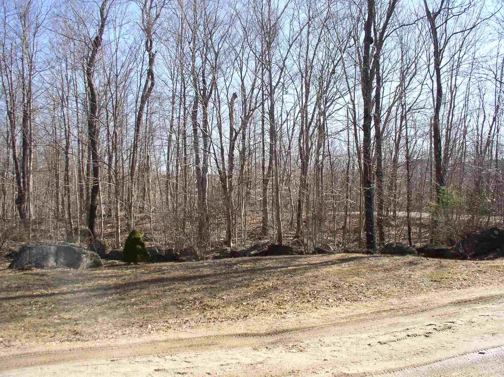 319 Fox Hill Road Stoddard NH 03464