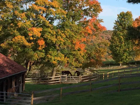 255 Delano Road West Windsor VT 05037