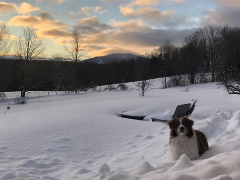 255 Delano Road West Windsor VT 05037