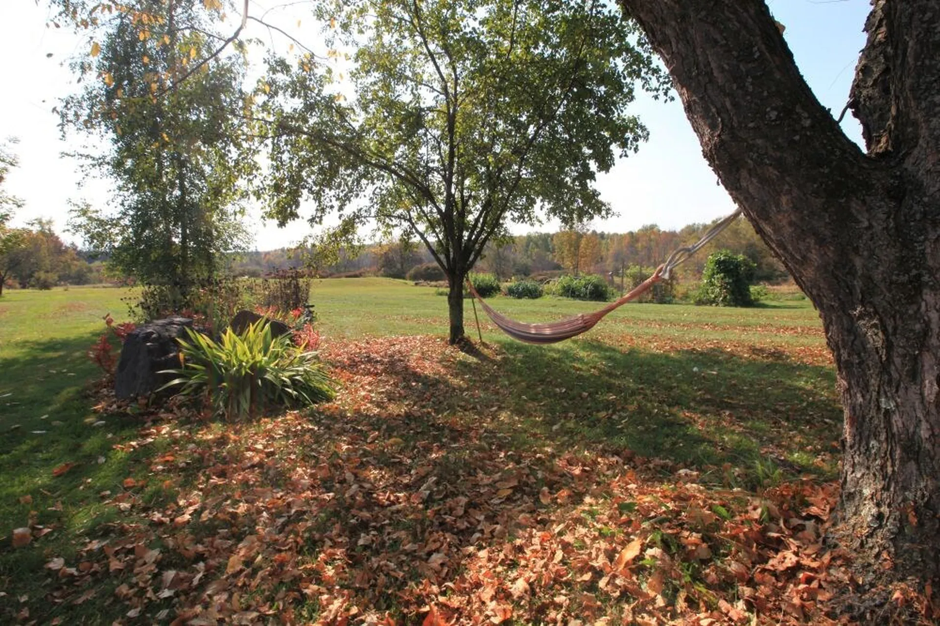 567 Orchard Run Cornwall VT 05753