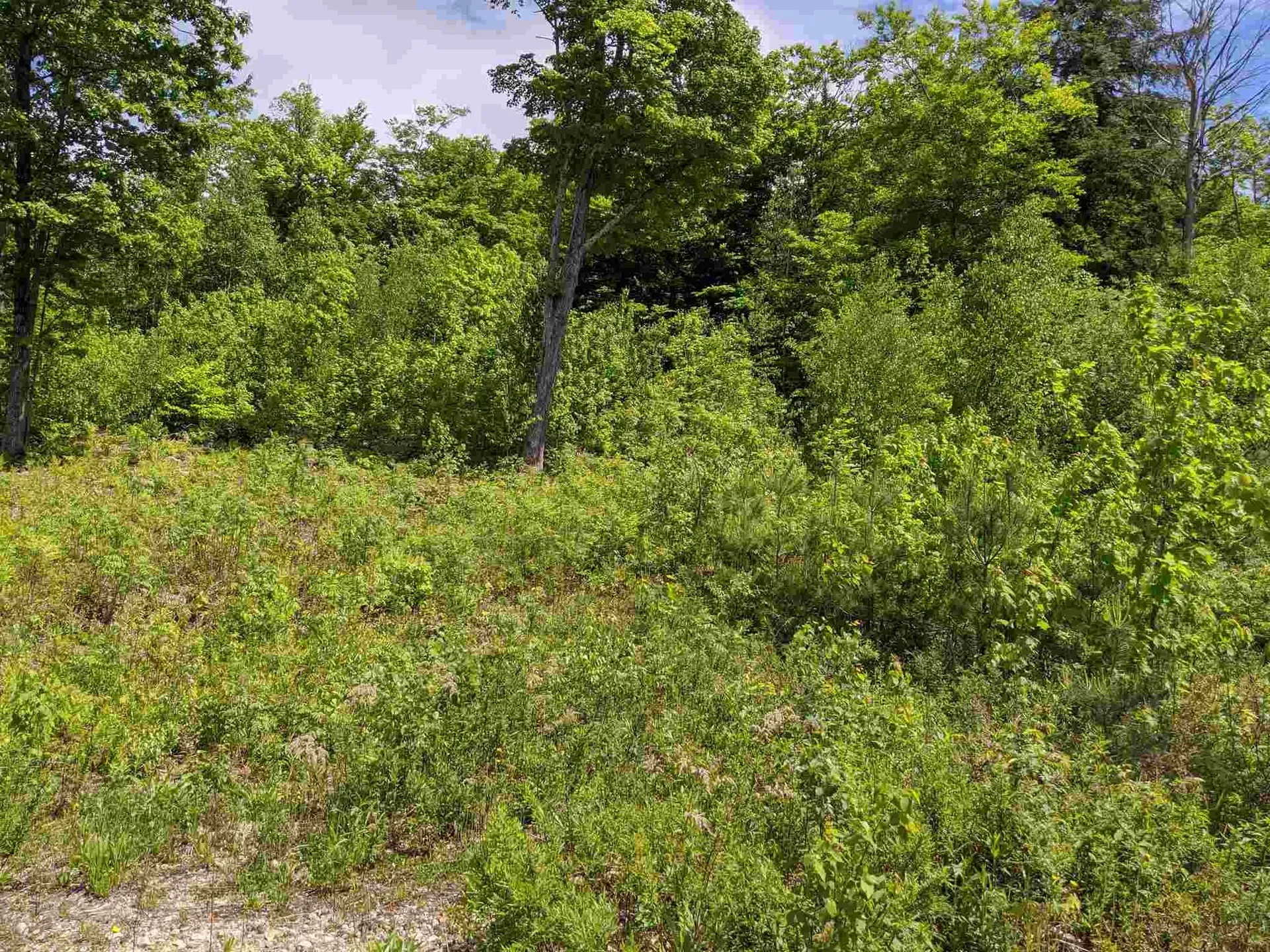 Lot 10 Chaddarin Lane Plymouth NH 03264