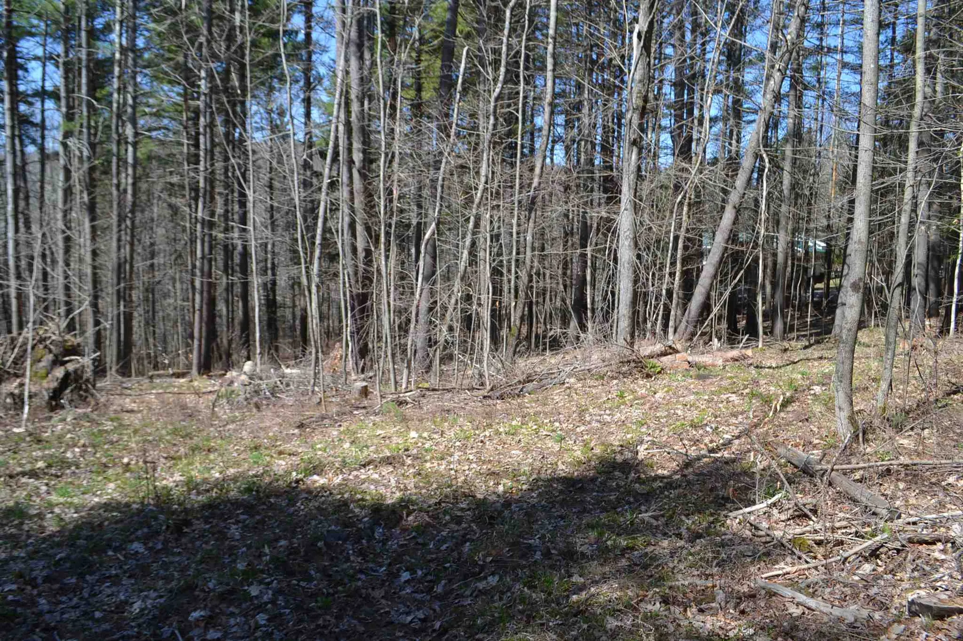793 Crosstown Road Berlin VT 05602