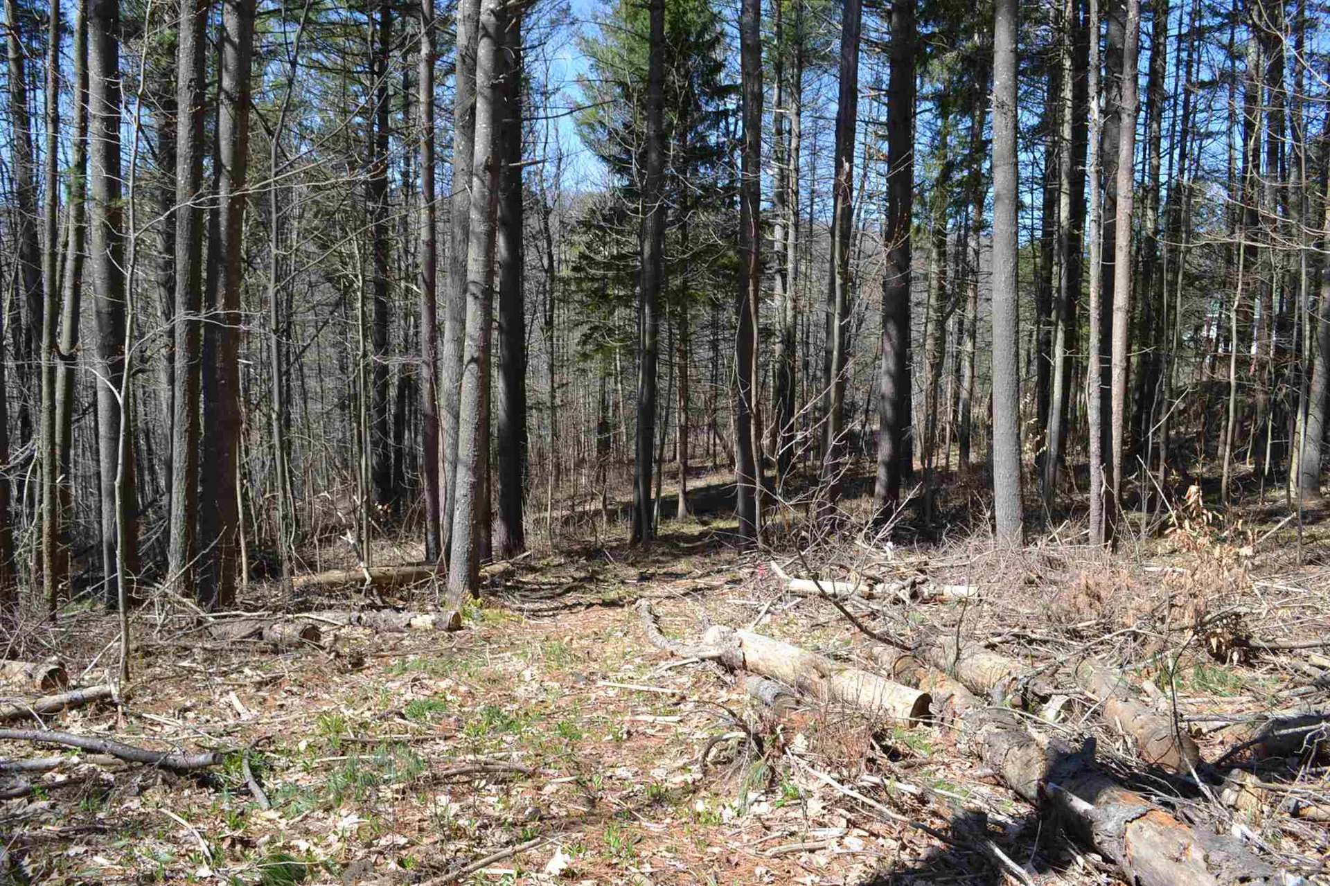 793 Crosstown Road Berlin VT 05602