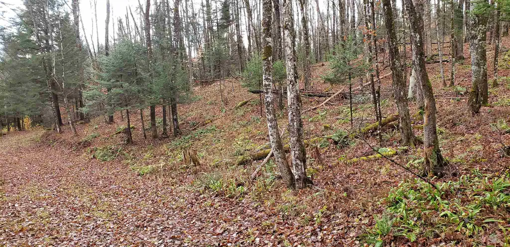 Hawkins Road Danville VT 05828