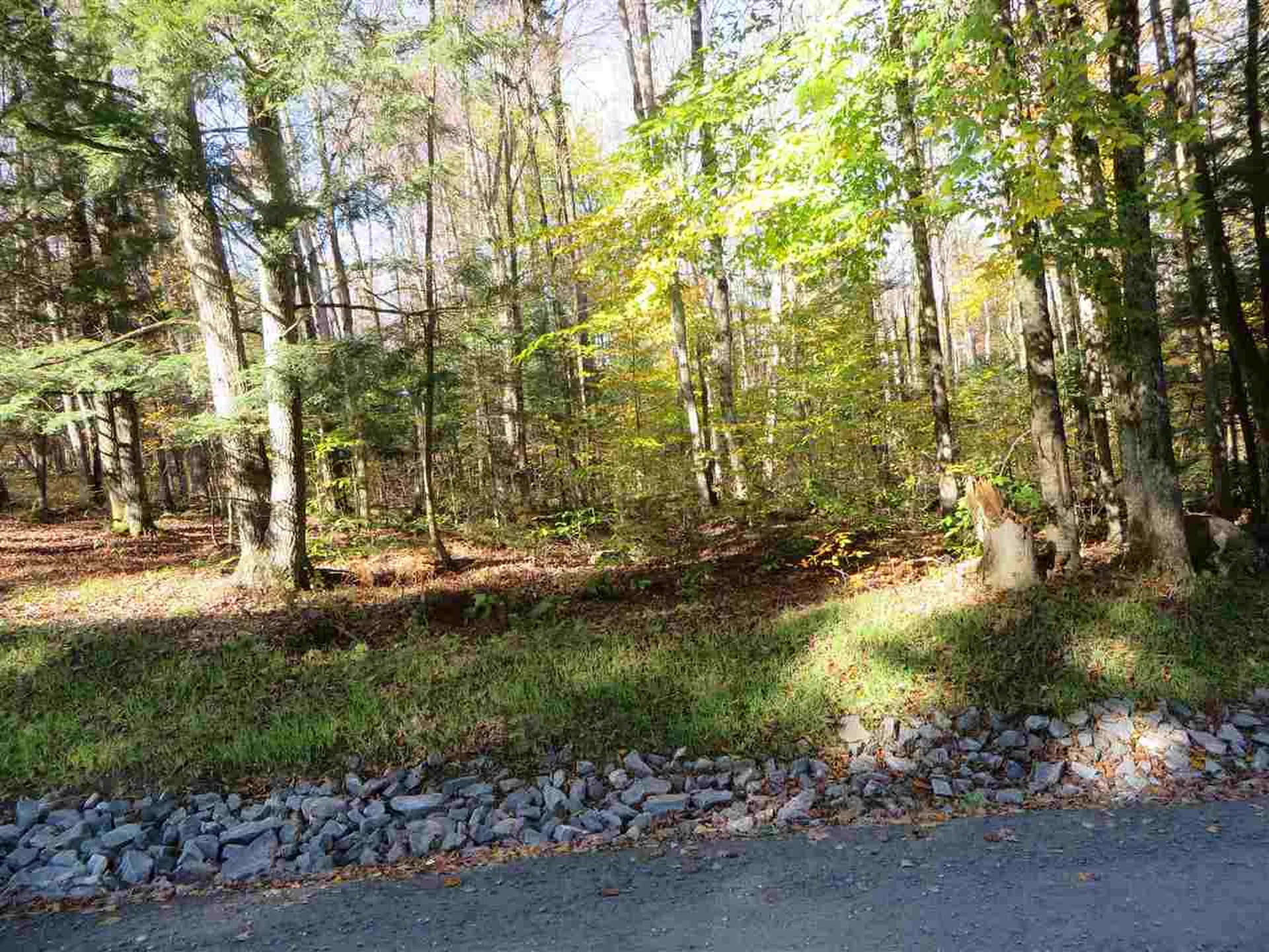 Hawkins Road Danville VT 05828