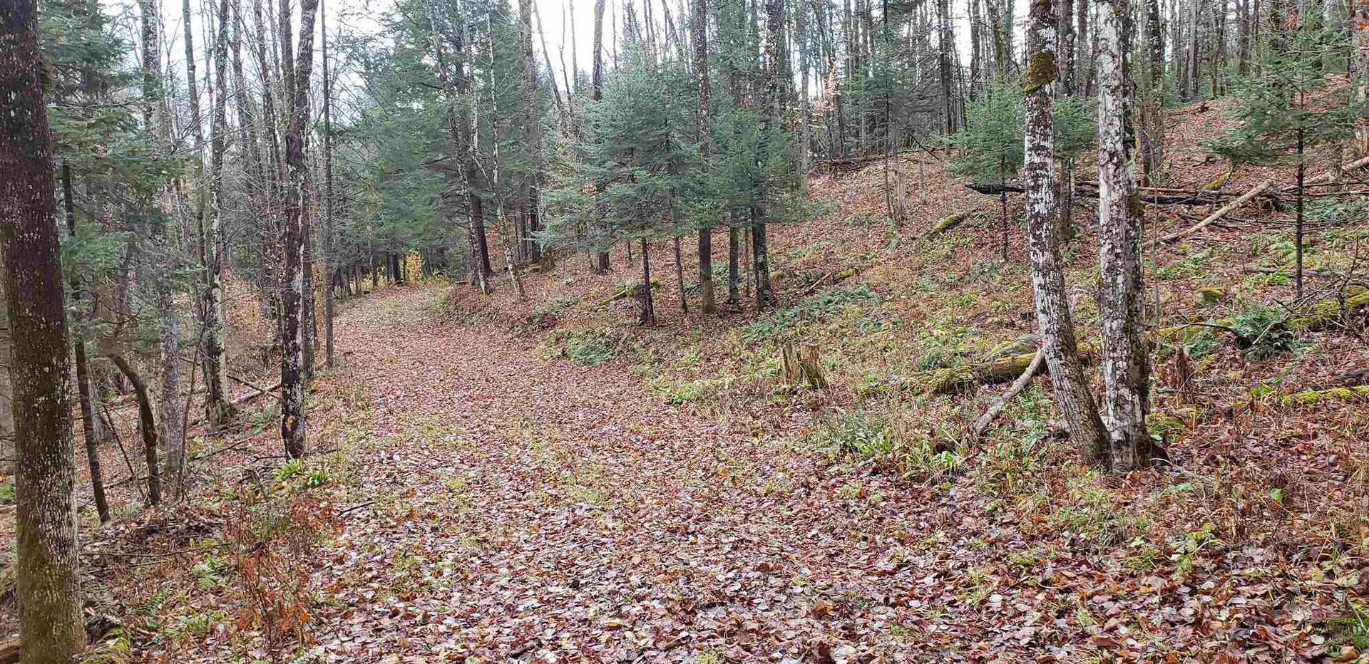 Hawkins Road Danville VT 05828