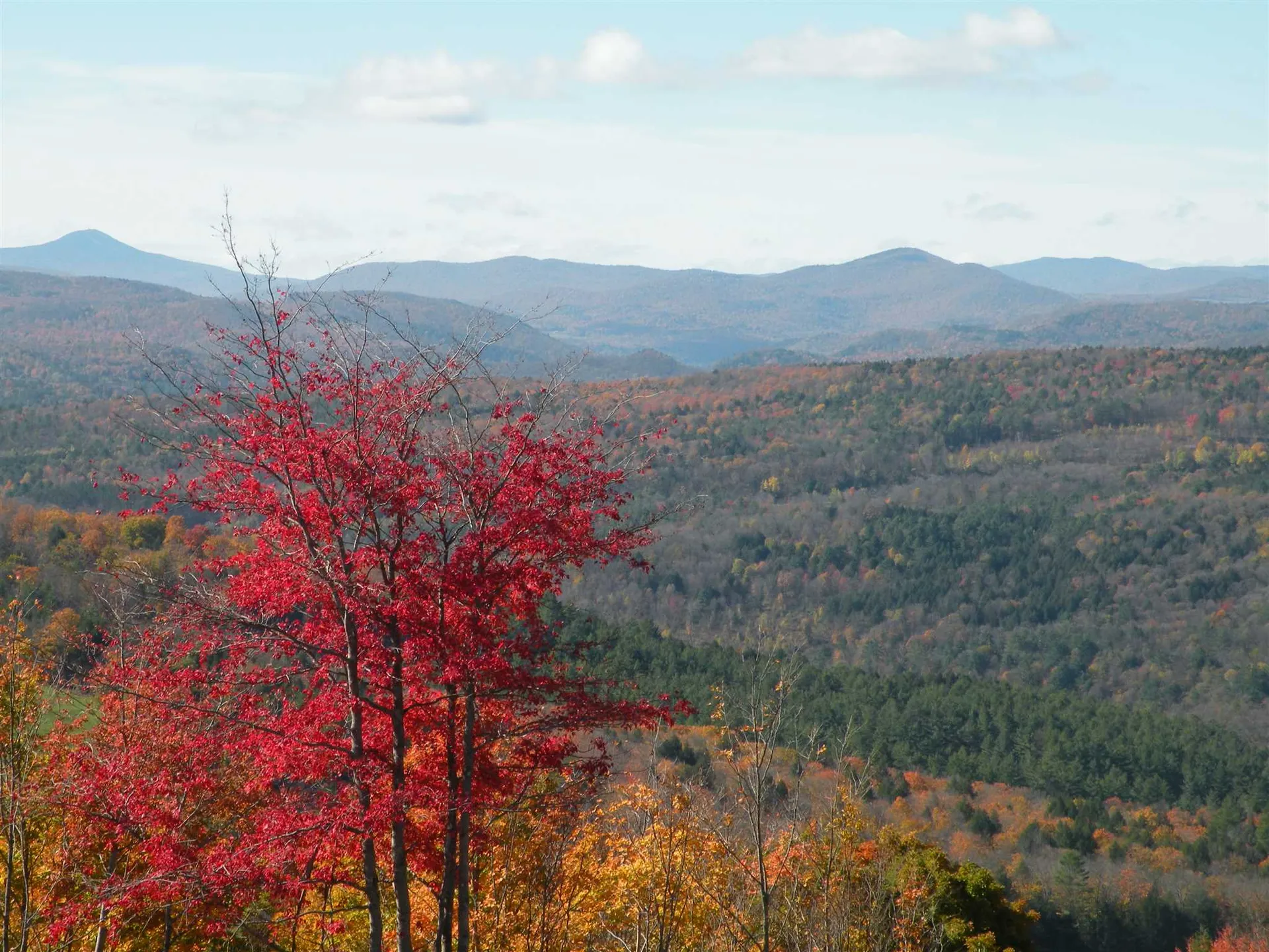 320 Gee Hill Road Royalton VT 05068