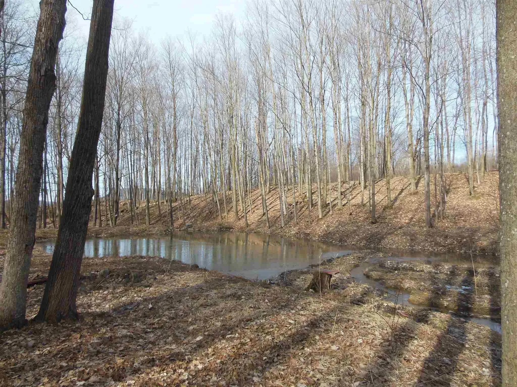38 Stone Meadow Lane Ferrisburgh VT 05456