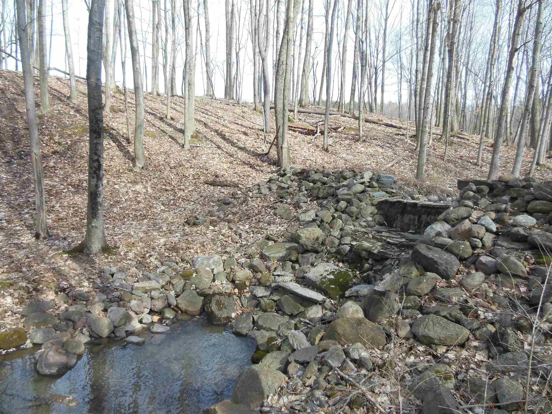 38 Stone Meadow Lane Ferrisburgh VT 05456