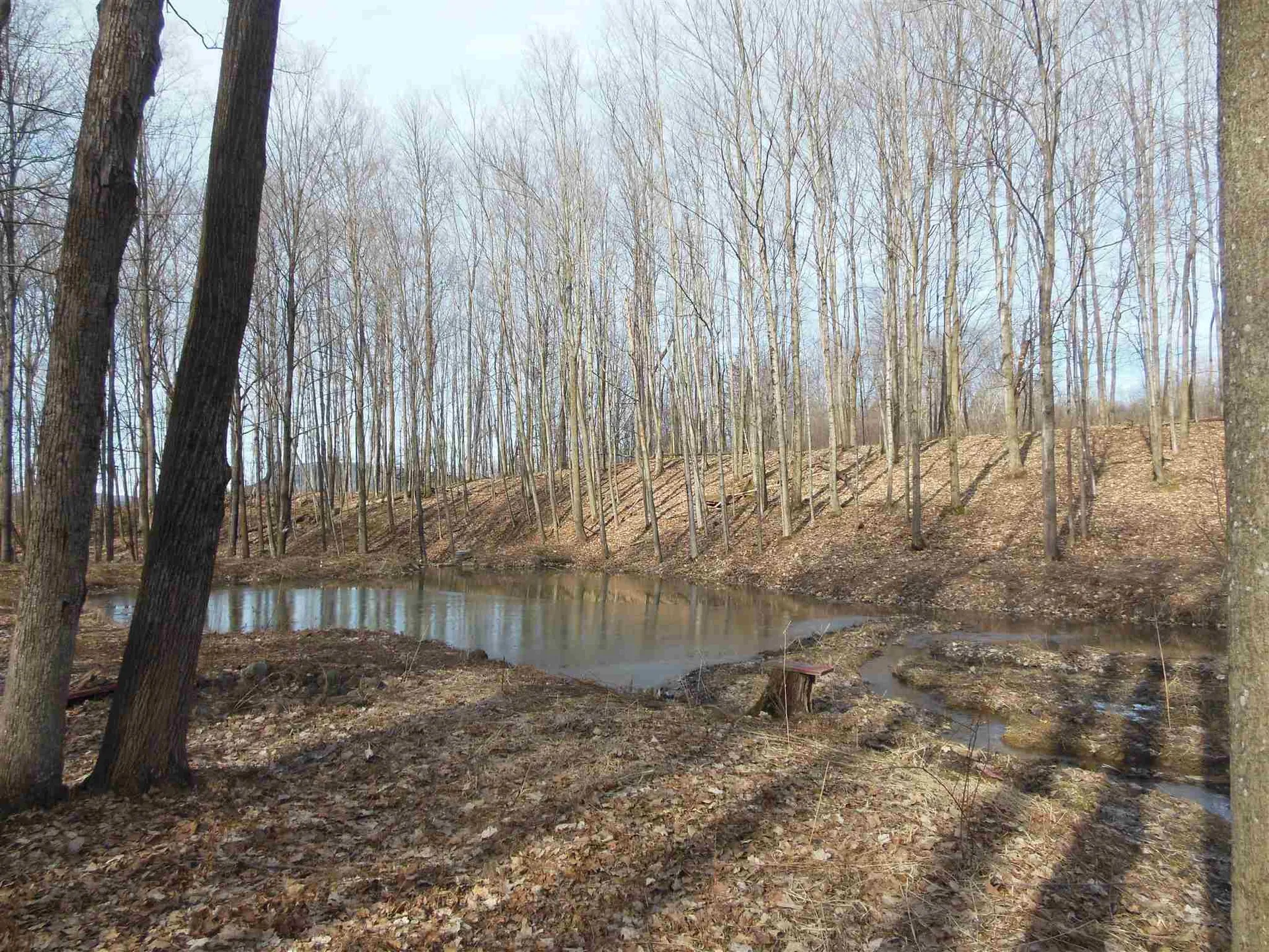 38 Stone Meadow Lane Ferrisburgh VT 05456