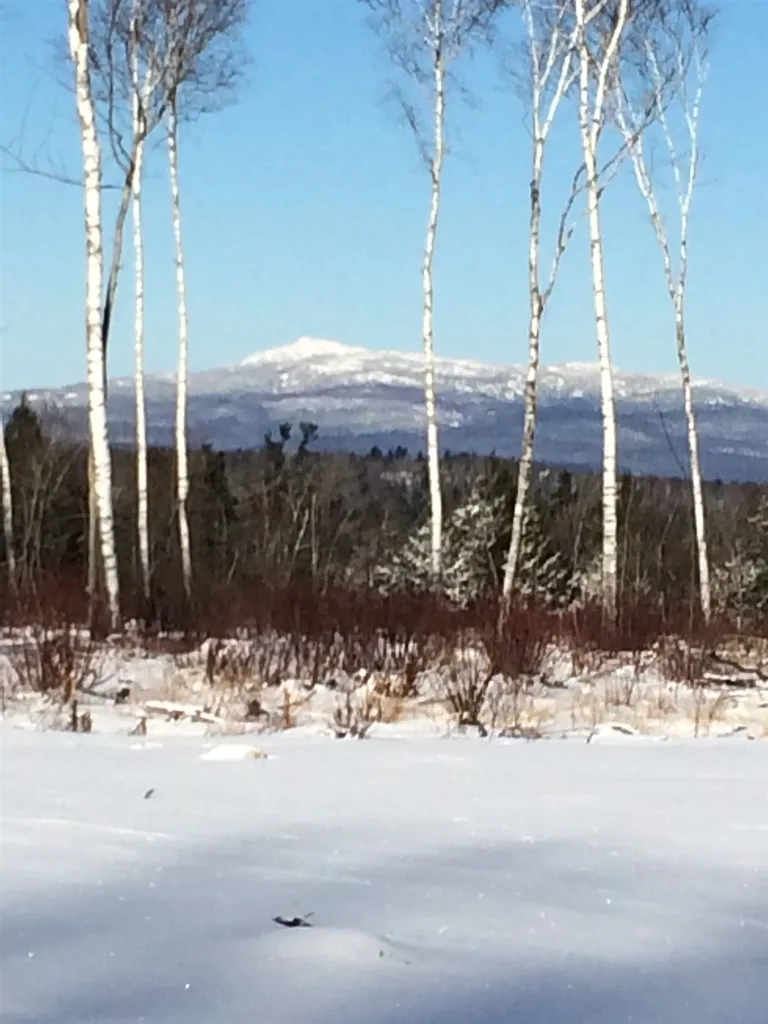 28 Candlelight Road Rindge NH 03461