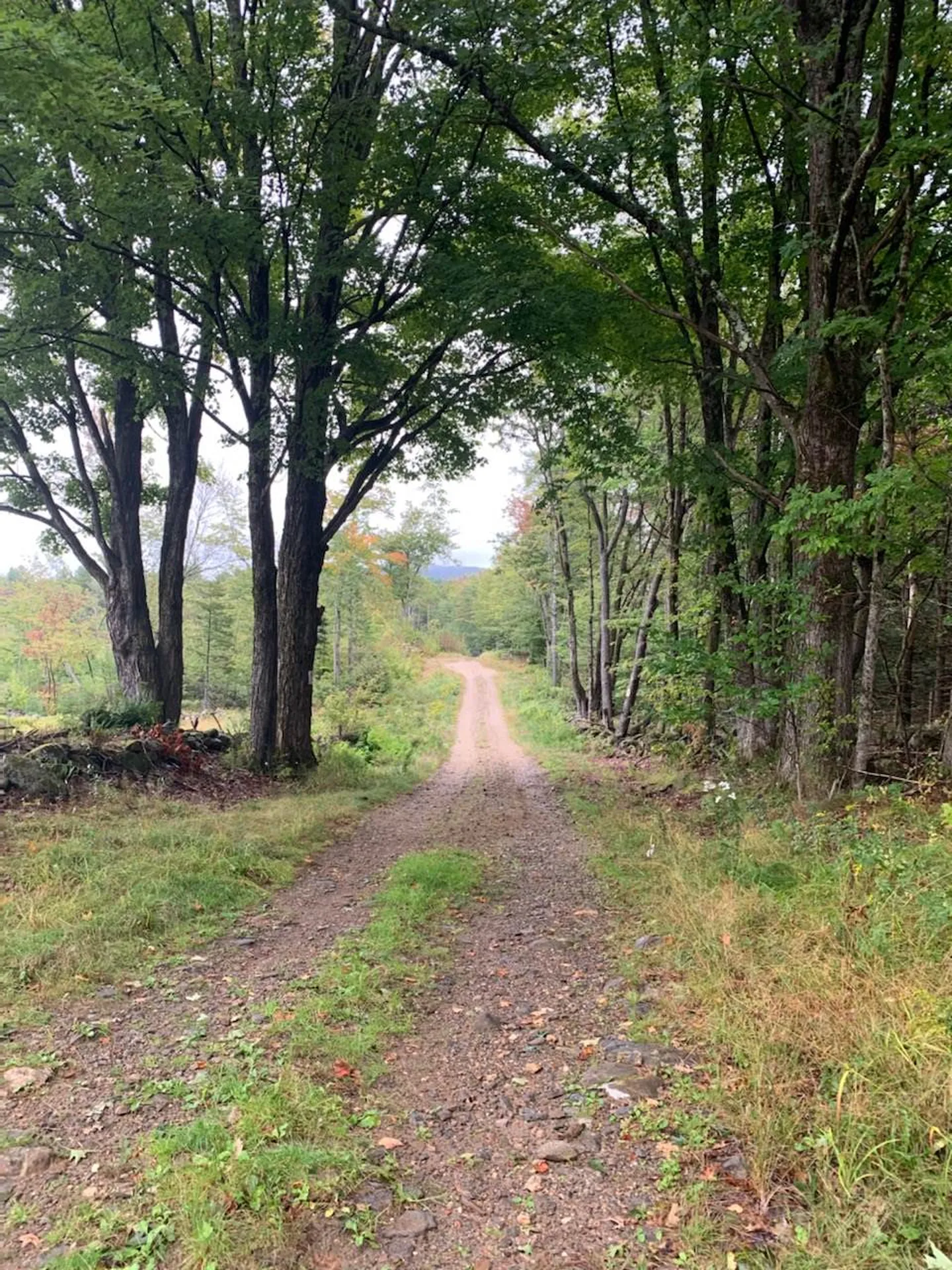 28 Candlelight Road Rindge NH 03461