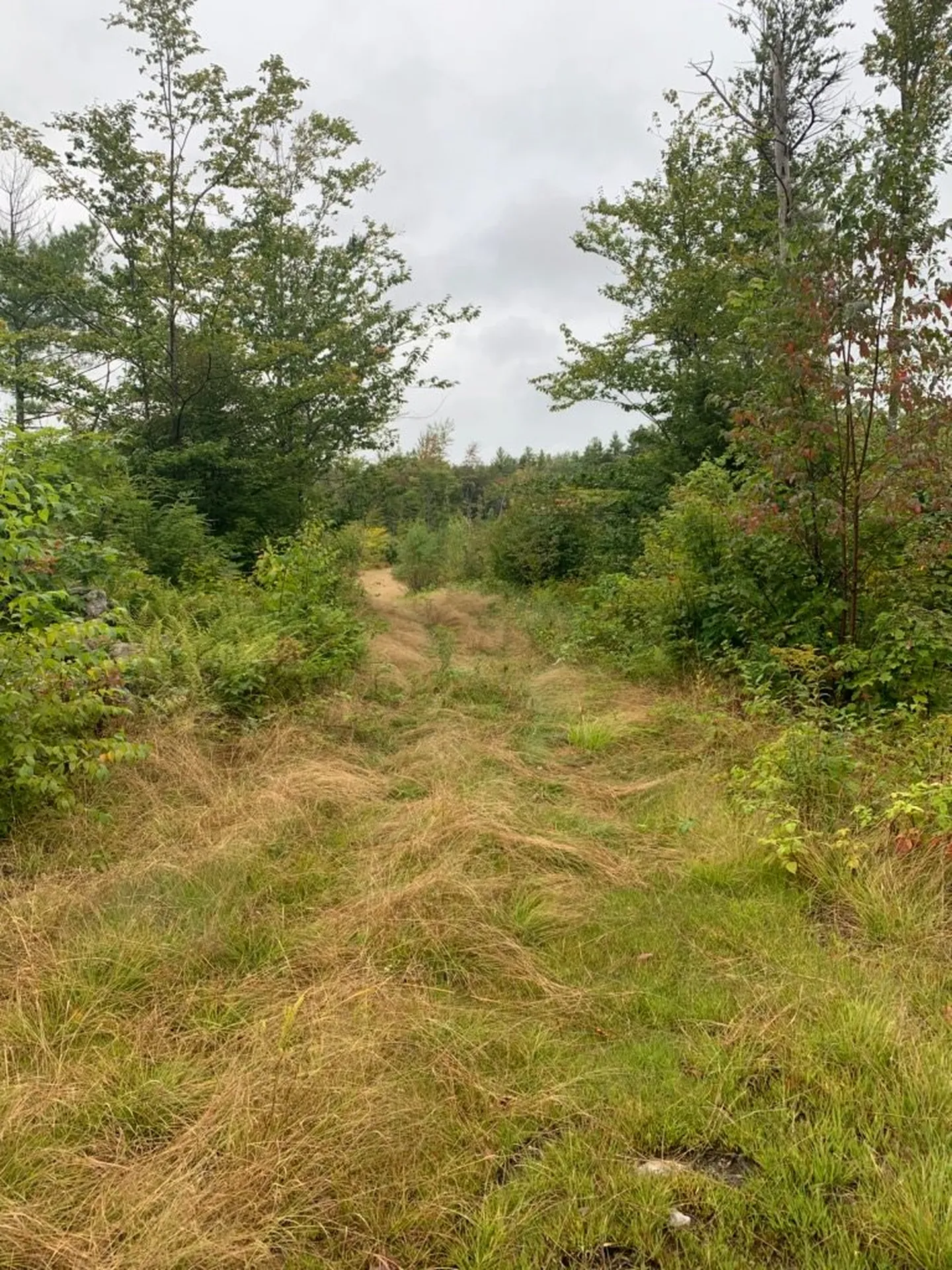 28 Candlelight Road Rindge NH 03461