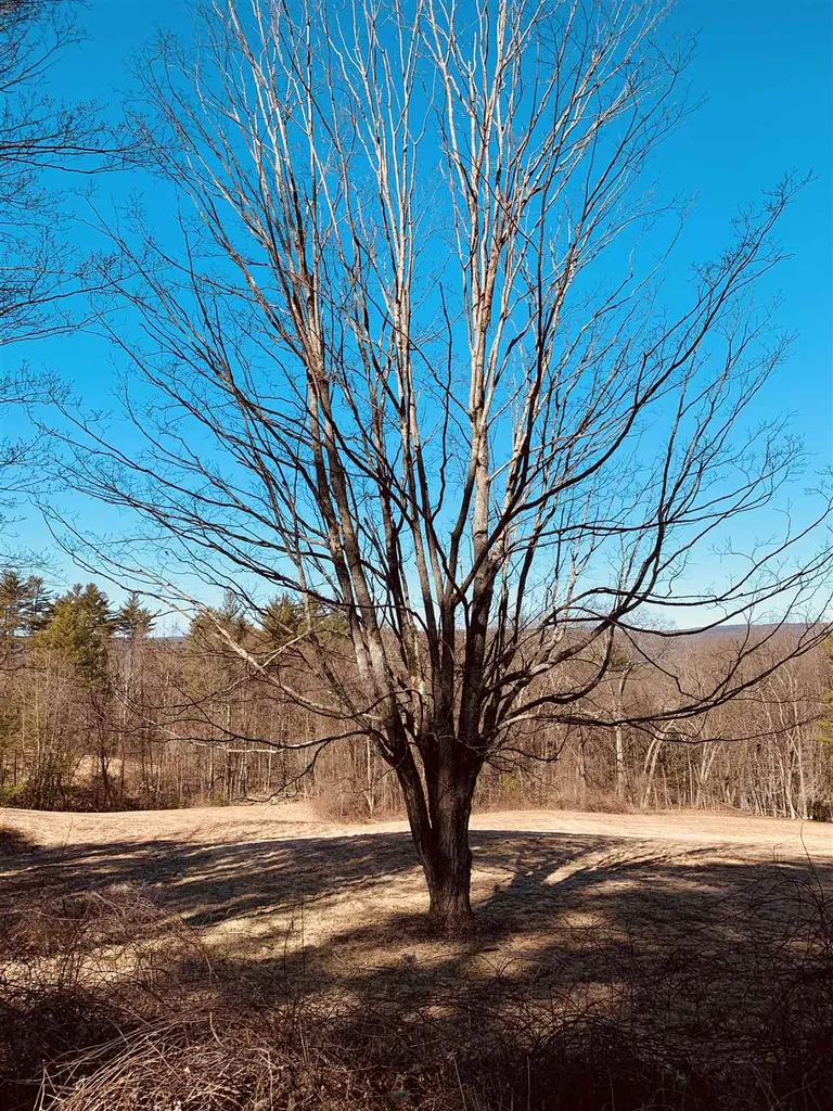 126 Old Keene Road Walpole NH 03608