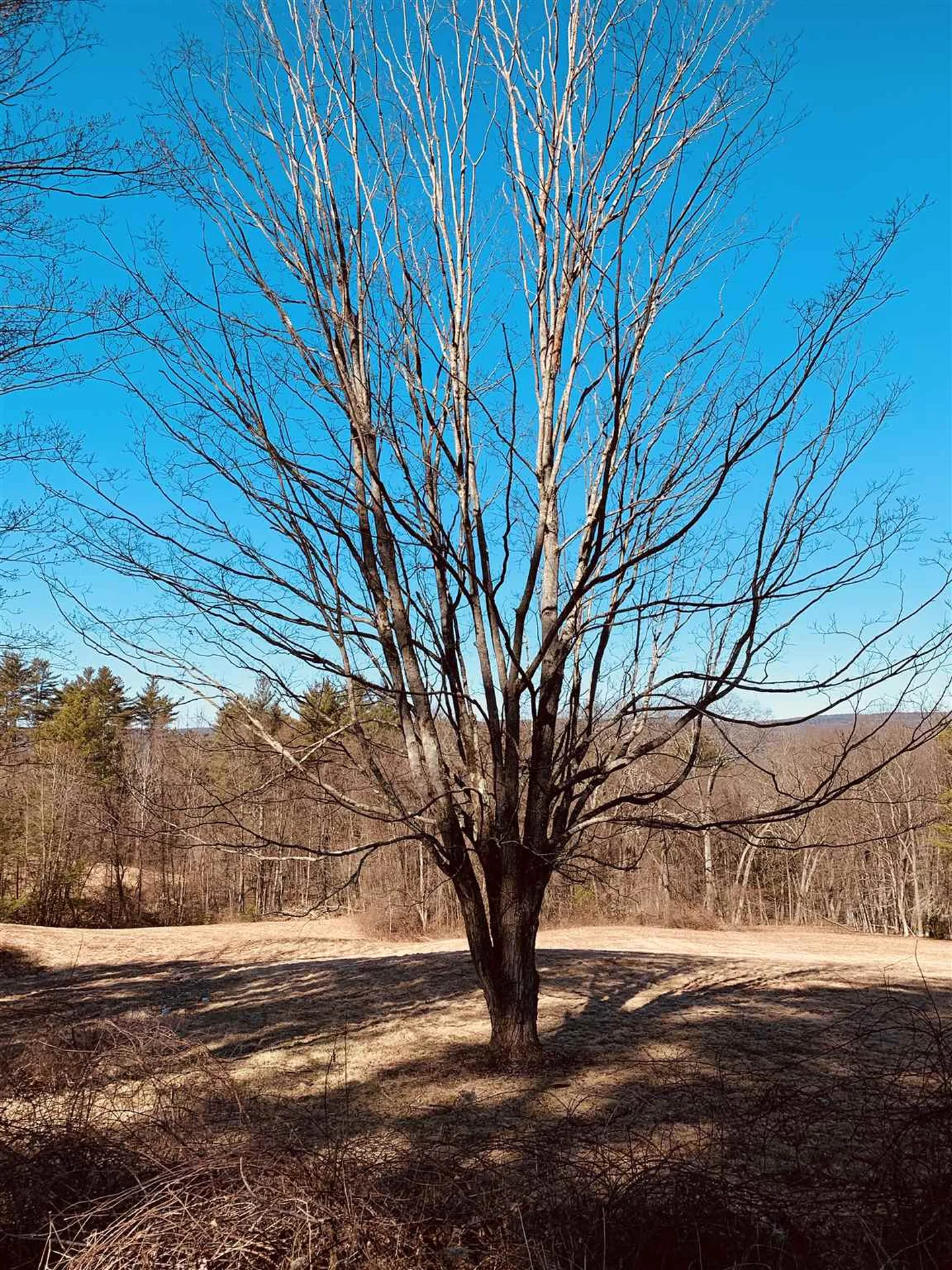 126 Old Keene Road Walpole NH 03608